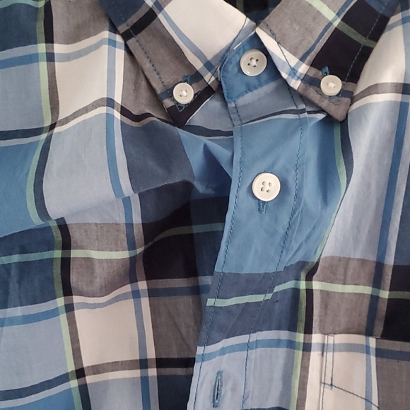 American eagle - Picture 3 of 4